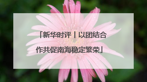 新华时评丨以团结合作共促南海稳定繁荣