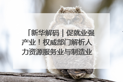 新华解码｜促就业强产业！权威部门解析人力资源服务业与制造业融合发展试点