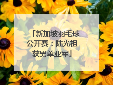 新加坡羽毛球公开赛：陆光祖获男单亚军
