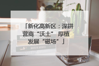 新化高新区：深耕营商“沃土” 厚植发展“磁场”
