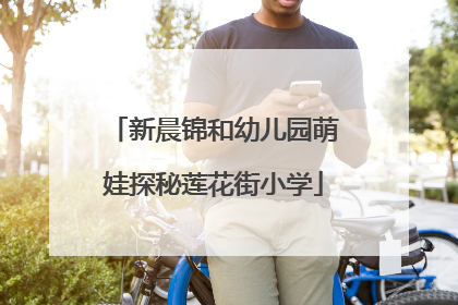 新晨锦和幼儿园萌娃探秘莲花街小学