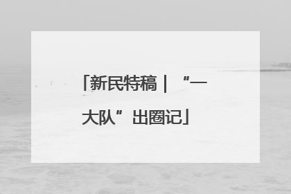 新民特稿｜“一大队”出圈记