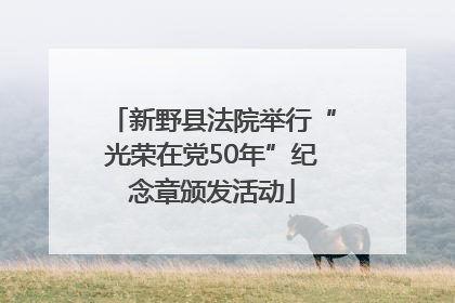 新野县法院举行“光荣在党50年”纪念章颁发活动