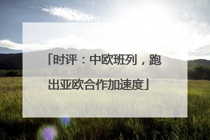 时评：中欧班列，跑出亚欧合作加速度