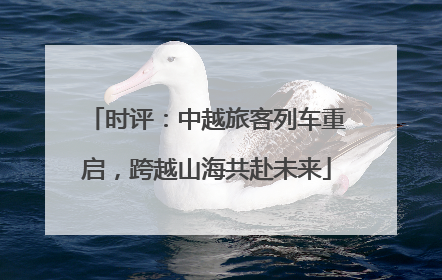 时评：中越旅客列车重启，跨越山海共赴未来