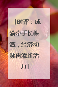 时评：成渝牵手长株潭，经济动脉再添新活力