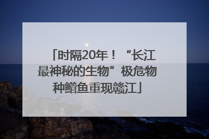时隔20年！“长江最神秘的生物”极危物种鳤鱼重现赣江