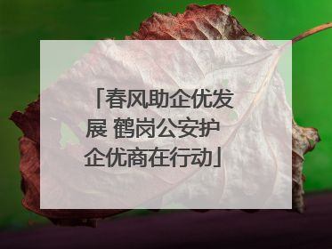 春风助企优发展 鹤岗公安护企优商在行动