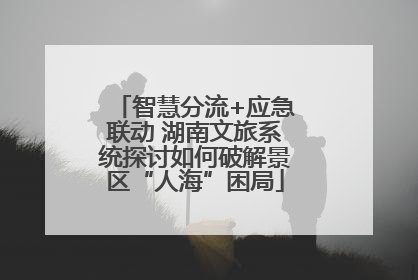 智慧分流+应急联动 湖南文旅系统探讨如何破解景区“人海”困局