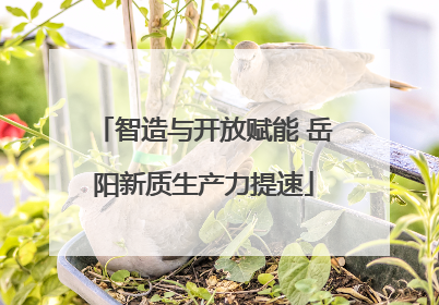 智造与开放赋能 岳阳新质生产力提速