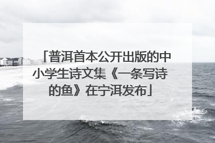 普洱首本公开出版的中小学生诗文集《一条写诗的鱼》在宁洱发布