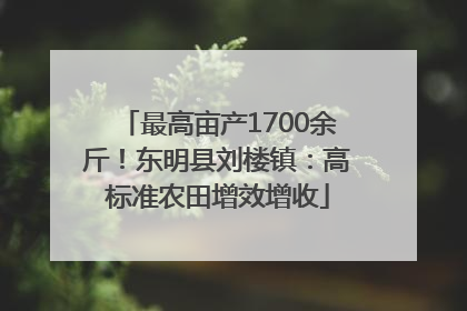 最高亩产1700余斤！东明县刘楼镇：高标准农田增效增收
