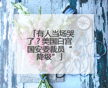 有人当场哭了？美国白宫国安委裁员“降级”