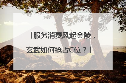 服务消费风起金陵，玄武如何抢占C位？