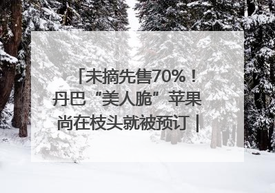 未摘先售70%！丹巴“美人脆”苹果尚在枝头就被预订｜长征路上看四川