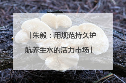 朱毅：用规范持久护航养生水的活力市场