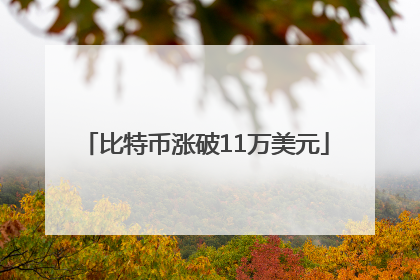 比特币涨破11万美元