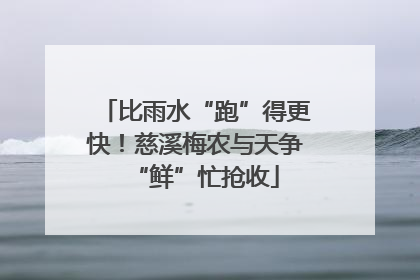 比雨水“跑”得更快！慈溪梅农与天争“鲜”忙抢收