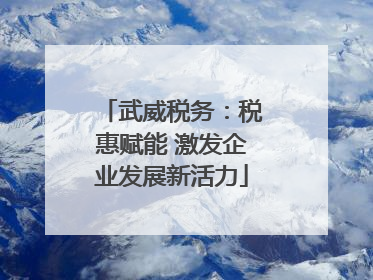 武威税务：税惠赋能 激发企业发展新活力