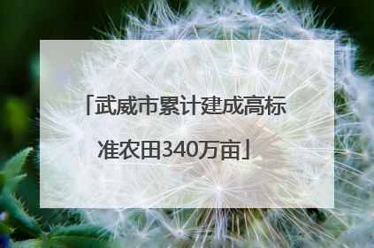 武威市累计建成高标准农田340万亩