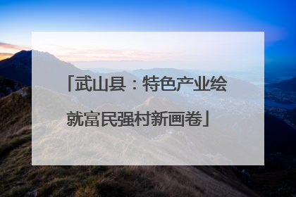 武山县：特色产业绘就富民强村新画卷