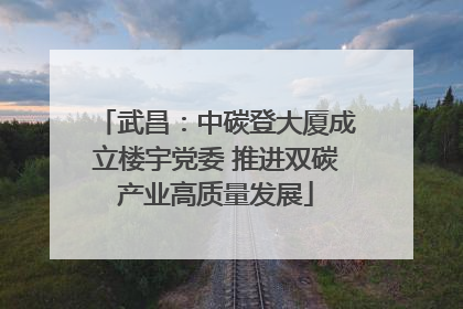 武昌：中碳登大厦成立楼宇党委 推进双碳产业高质量发展