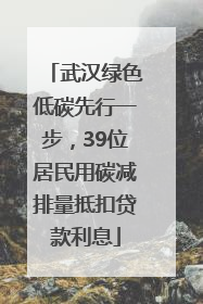 武汉绿色低碳先行一步，39位居民用碳减排量抵扣贷款利息