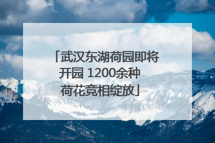武汉东湖荷园即将开园 1200余种荷花竞相绽放