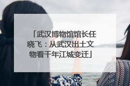 武汉博物馆馆长任晓飞：从武汉出土文物看千年江城变迁