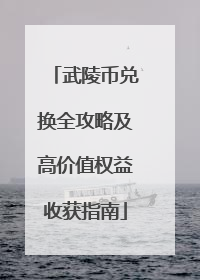 武陵币兑换全攻略及高价值权益收获指南