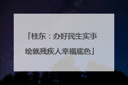 桂东：办好民生实事 绘就残疾人幸福底色