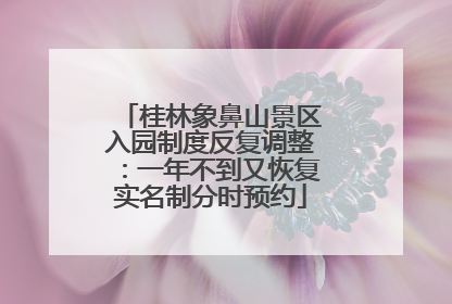 桂林象鼻山景区入园制度反复调整：一年不到又恢复实名制分时预约