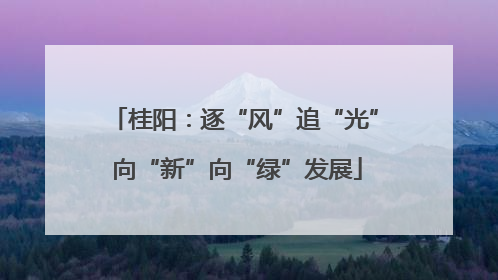 桂阳：逐“风”追“光” 向“新”向“绿”发展