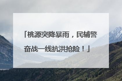 桃源突降暴雨，民辅警奋战一线抗洪抢险！