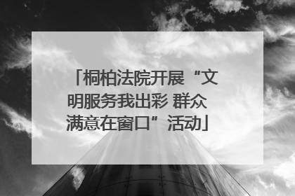 桐柏法院开展“文明服务我出彩 群众满意在窗口”活动