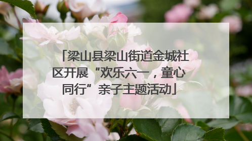 梁山县梁山街道金城社区开展“欢乐六一，童心同行”亲子主题活动