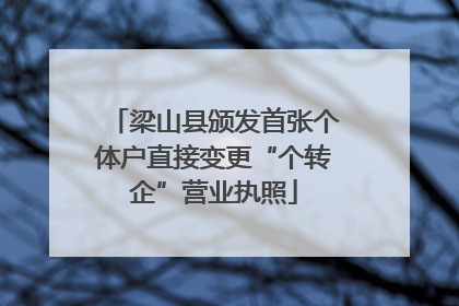 梁山县颁发首张个体户直接变更“个转企”营业执照