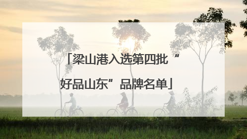 梁山港入选第四批“好品山东”品牌名单