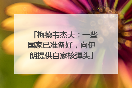 梅德韦杰夫：一些国家已准备好，向伊朗提供自家核弹头