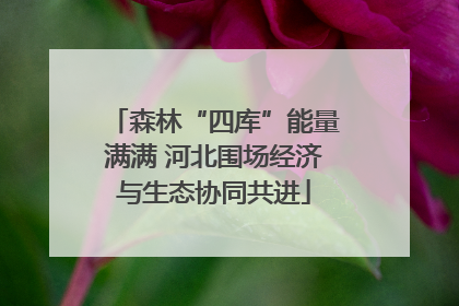 森林“四库”能量满满 河北围场经济与生态协同共进