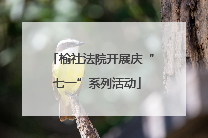 榆社法院开展庆“七一”系列活动