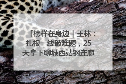 榜样在身边｜王林：扎根一线破难题，25天拿下聊城西站钢连廊“硬核”工程