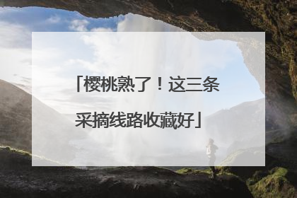 樱桃熟了！这三条采摘线路收藏好