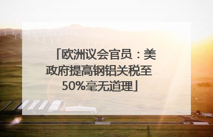 欧洲议会官员：美政府提高钢铝关税至50%毫无道理