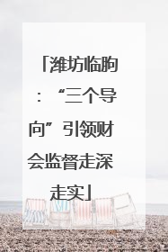 潍坊临朐：“三个导向”引领财会监督走深走实