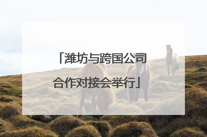 潍坊与跨国公司合作对接会举行
