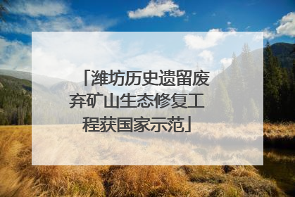 潍坊历史遗留废弃矿山生态修复工程获国家示范