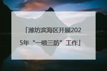 潍坊滨海区开展2025年“一喷三防”工作