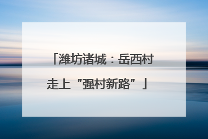 潍坊诸城：岳西村走上“强村新路”