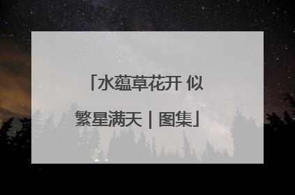 水蕴草花开 似繁星满天｜图集